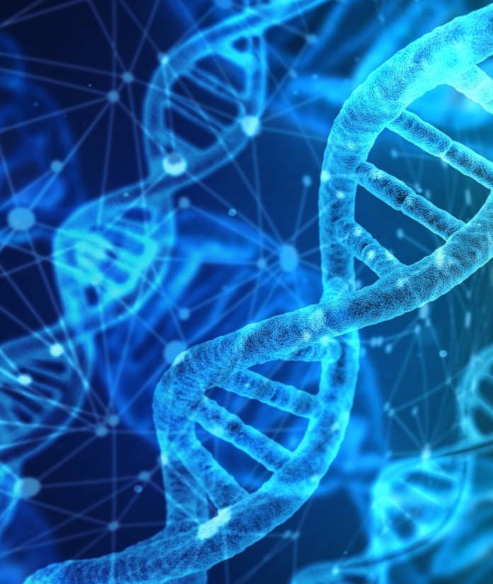 despre tehnica Theta Healing