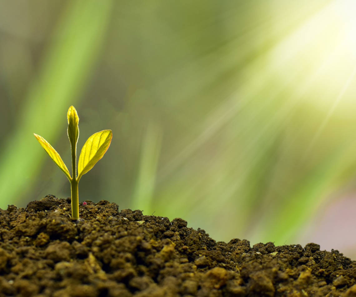 Vindecare emoțională și dezvoltare personală