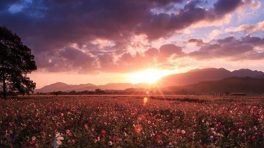 Înainte de a-i iubi pe ceilalți, iubește-te pe tine!